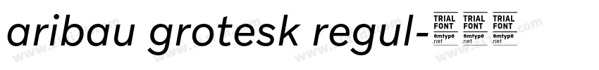 aribau grotesk regul字体转换